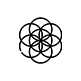 icon1